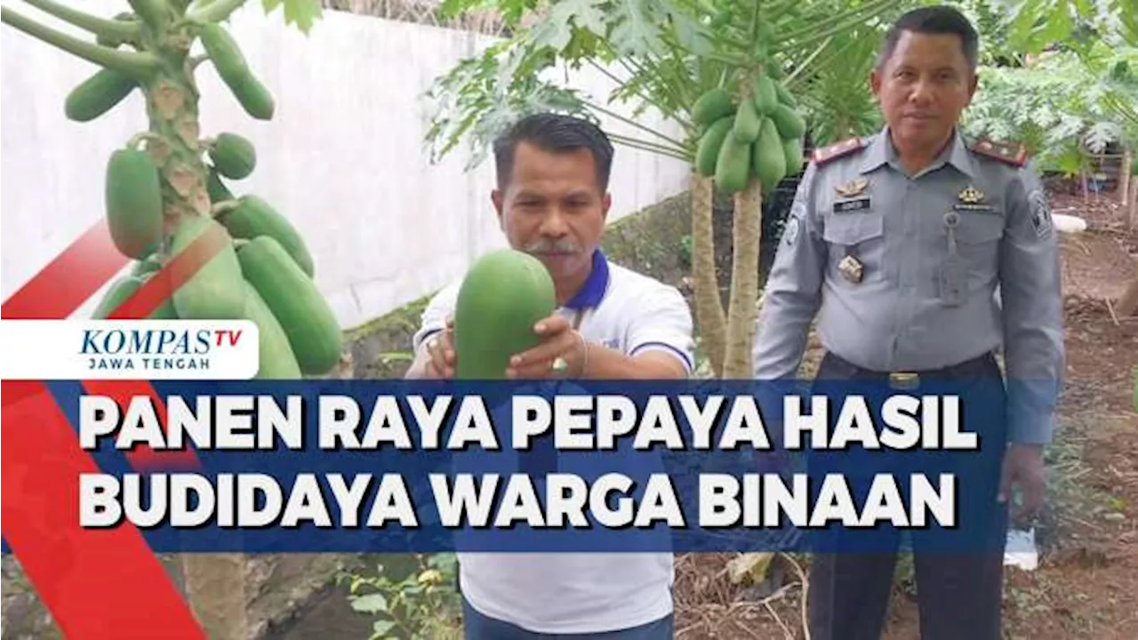 Panen Raya Hasil Budidaya Warga Binaan