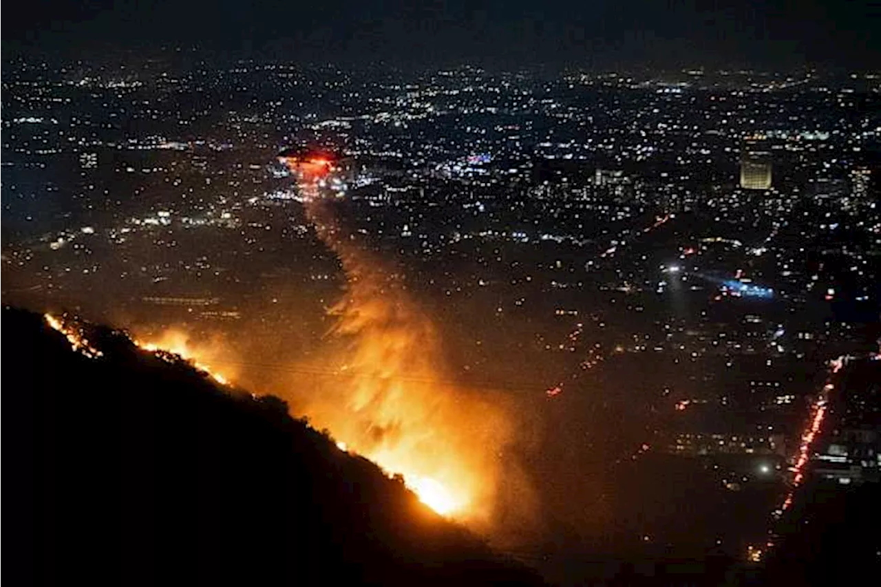 California Wildfires Ravage Hollywood Hills, Displacing Tens of Thousands