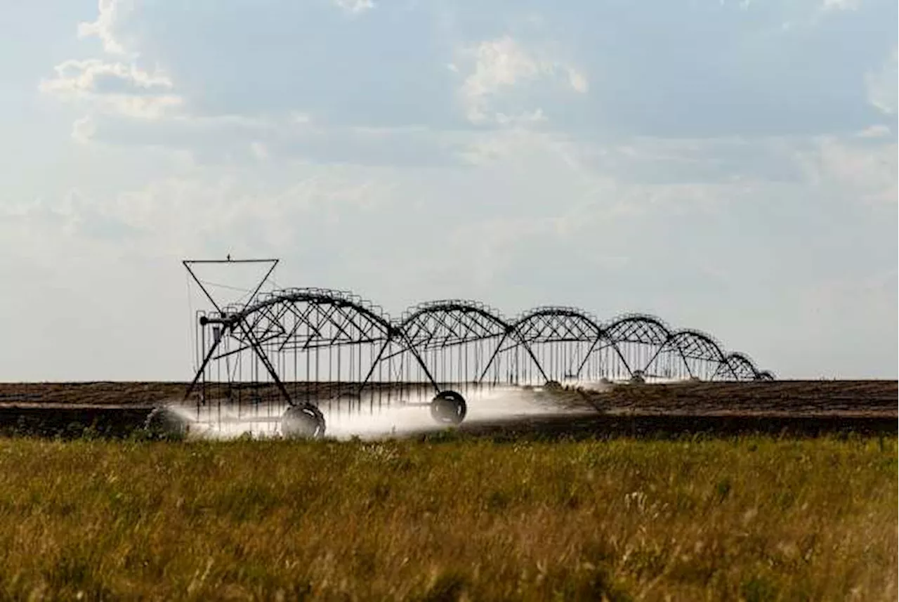 Farm Bill Extension Leaves Texas Farmers and Ranchers in Limbo