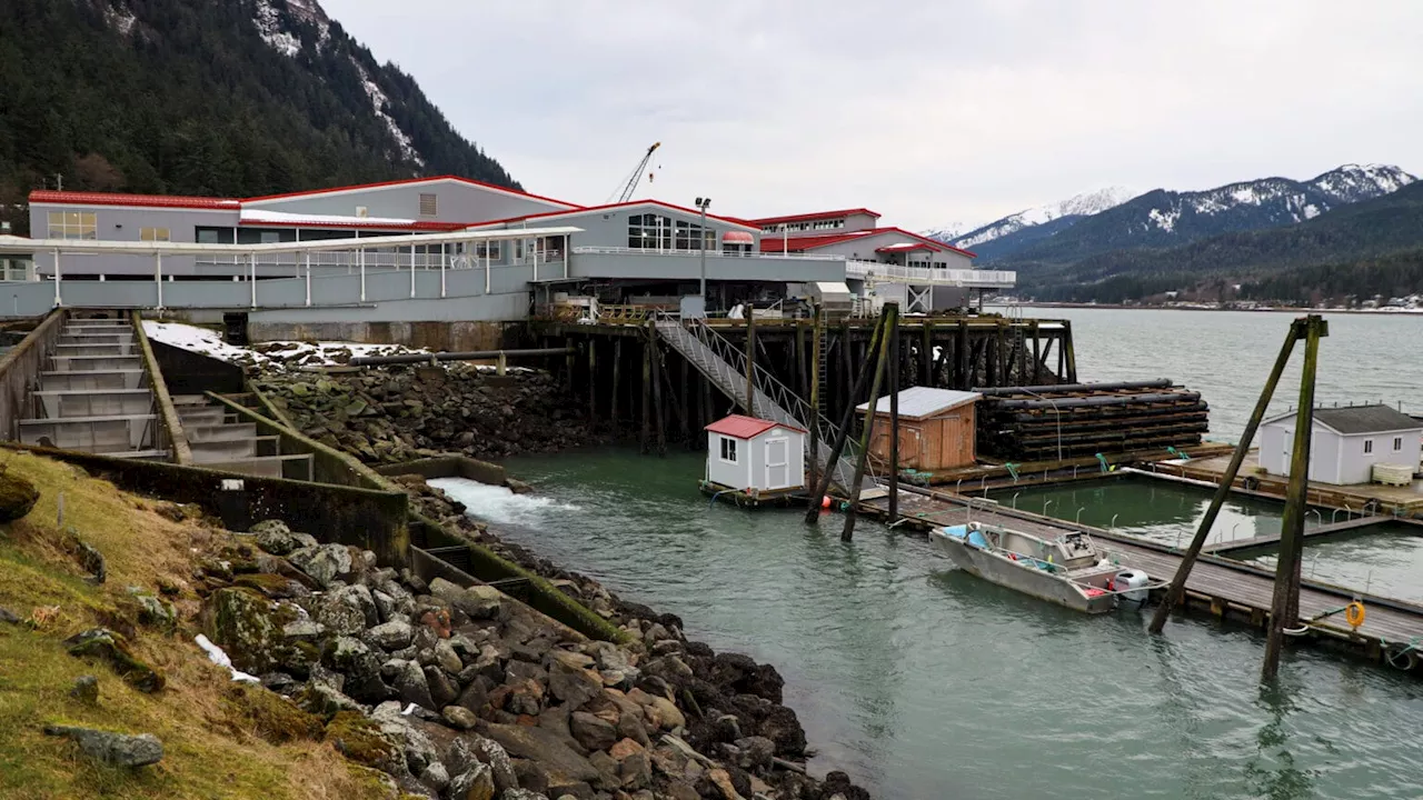 Juneau Assembly Opposes Hatchery Salmon Regulation