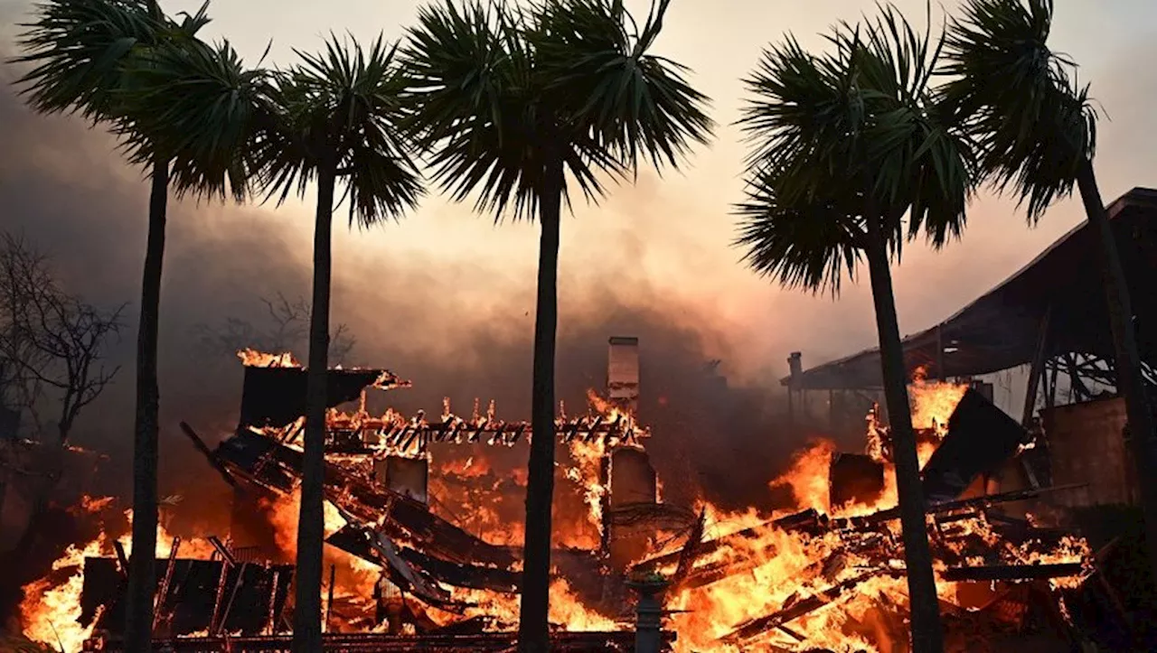 Incendies de Los Angeles : un nageur perd ses dix médailles olympiques dans les flammes