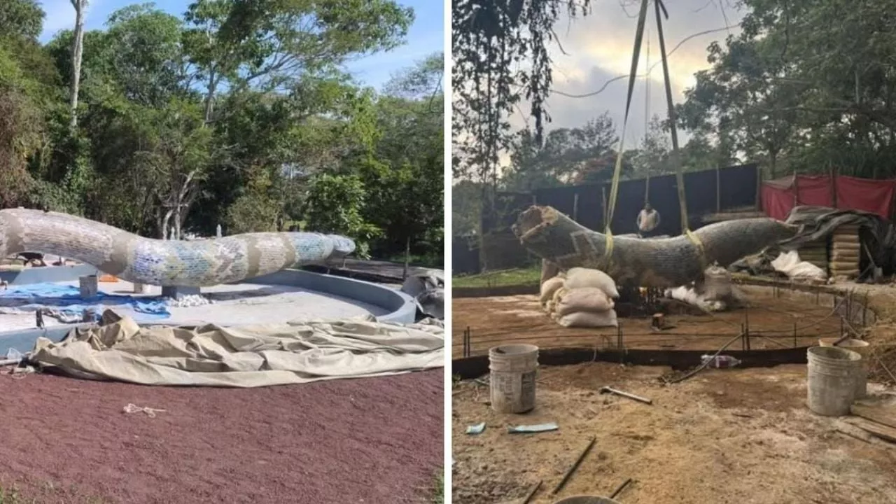 Cóatl, la Serpiente Esculpida, Regresa a su Hogar en Xalapa