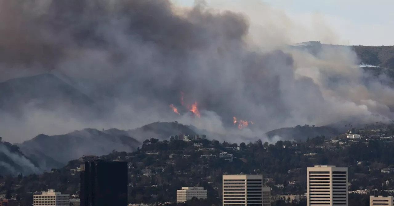 Essential Workers Brace the Flames in Santa Monica