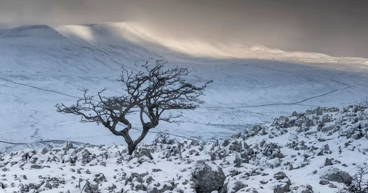 Leeds Schools Delay Openings Due to Severe Winter Weather