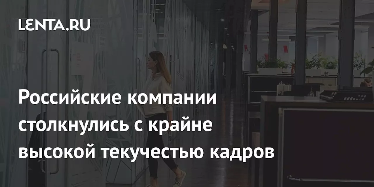 Кадровый голод в России: 76% компаний будут активно нанимать сотрудников в 2025 году