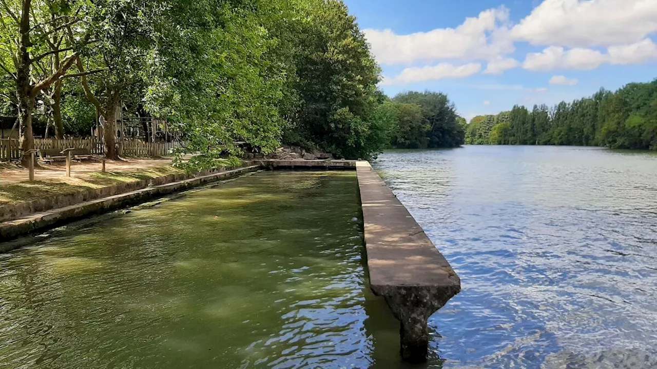 Nouvelles zones de baignade autorisées dans la Seine et la Marne