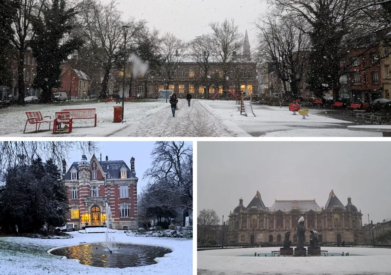 Magnifique neige à Lille et dans les environs ce jeudi 9 janvier 2025