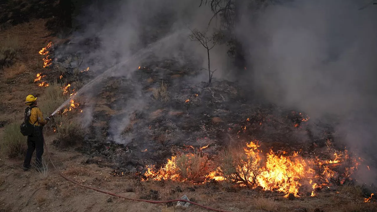 Kebakaran Hutan Los Angeles Tewaskan 5 Orang, 1.000 Bangunan Hancur