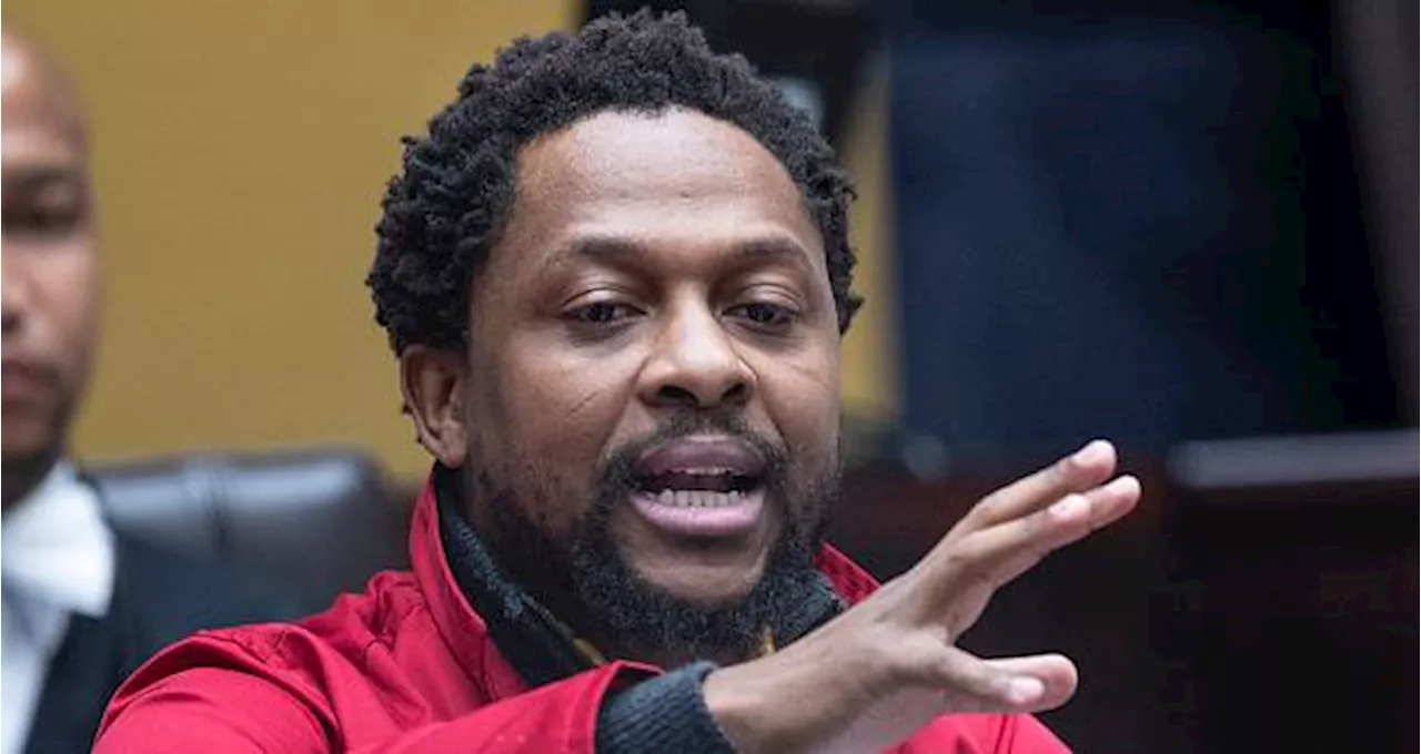 EFF’s Mbuyiseni Ndlozi resigns from parliament