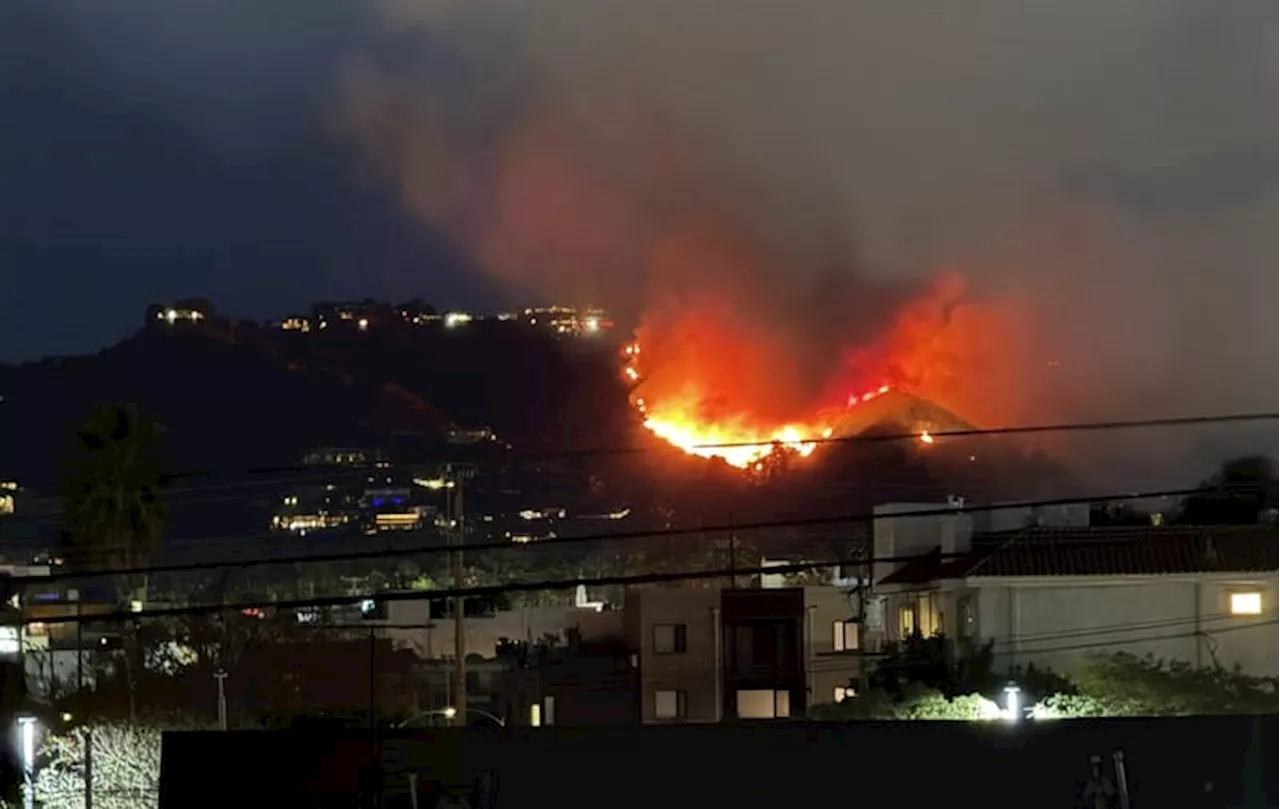 Kebakaran Semak di Hollywood Hills Memburuk Situasi Kebakaran di California Selatan