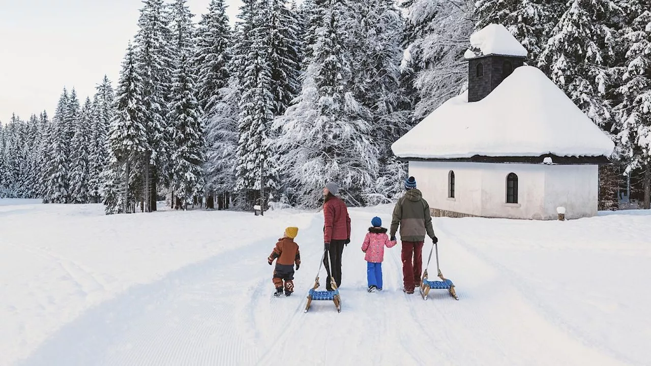 Slovenia: Un Inverno da Sogno tra Piste, Benessere e Scialpinismo