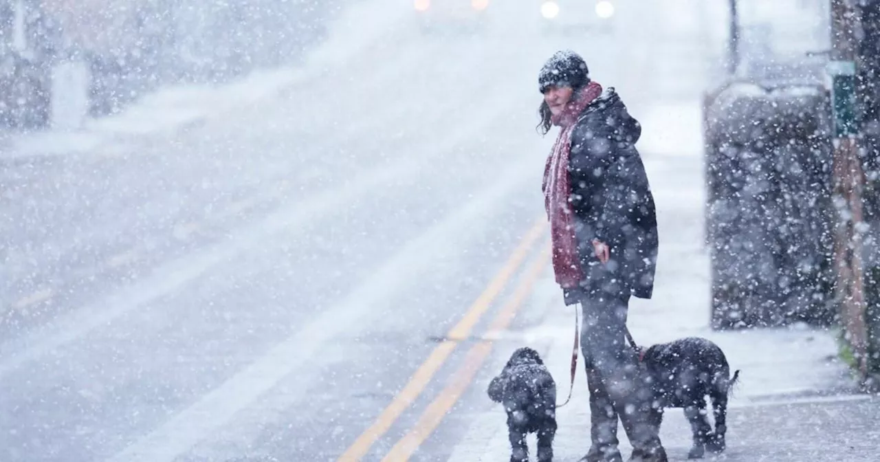 Live tracker map shows where and when snow will hit London today