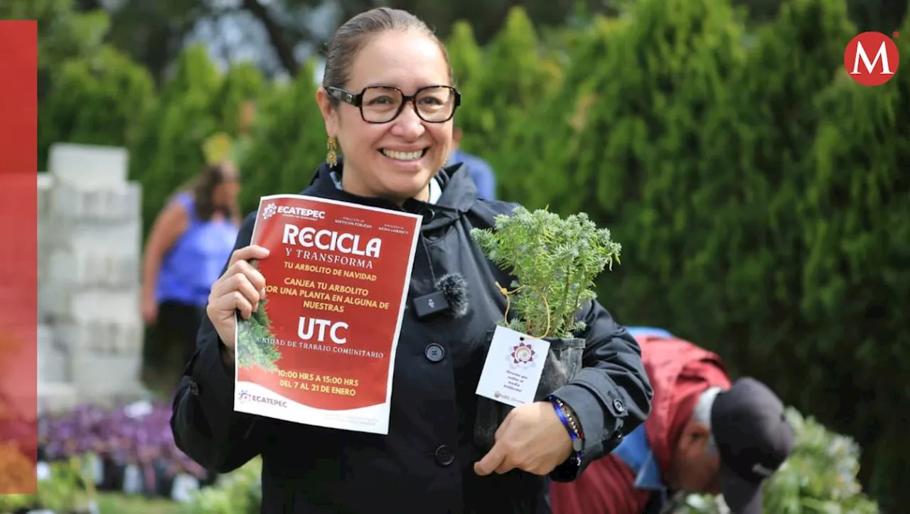 Llama Azucena Cisneros a reciclar árboles navideños en Ecatepec