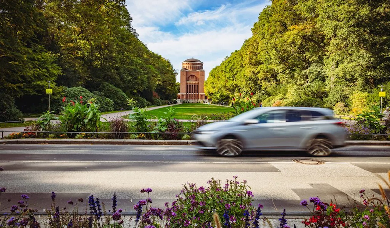 Pilotprojekt im Hamburger Stadtpark: Otto-Wels-Straße soll für ein Wochenende autofrei sein