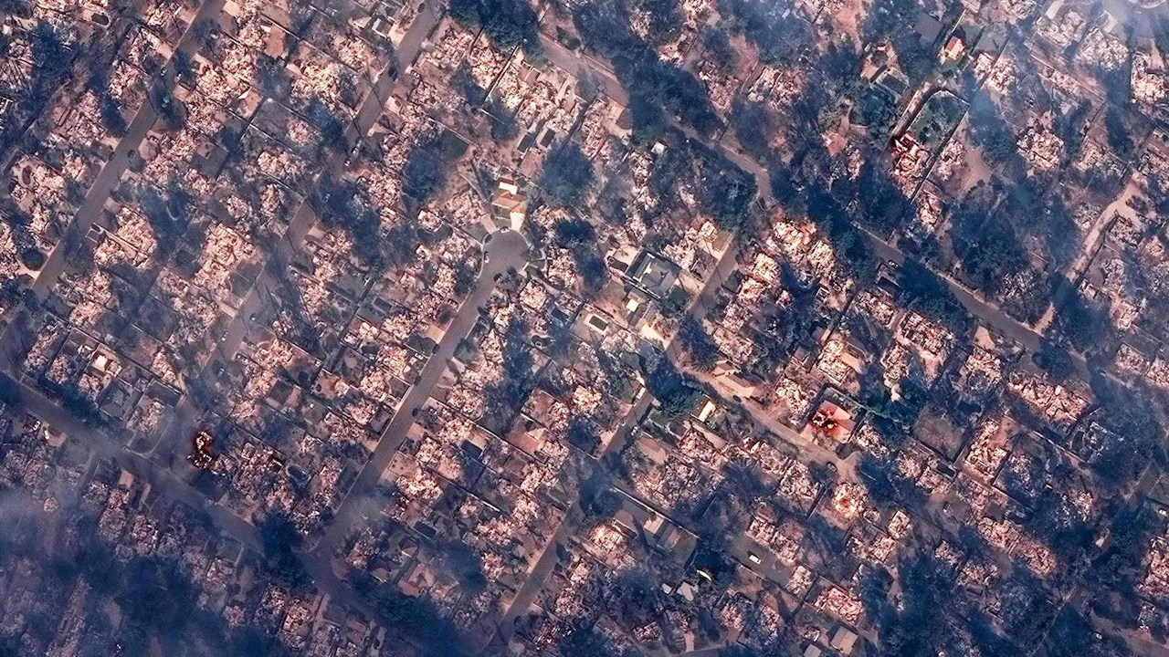 Waldbrände in Los Angeles: Apokalyptische Szenen und Tausende auf der Flucht