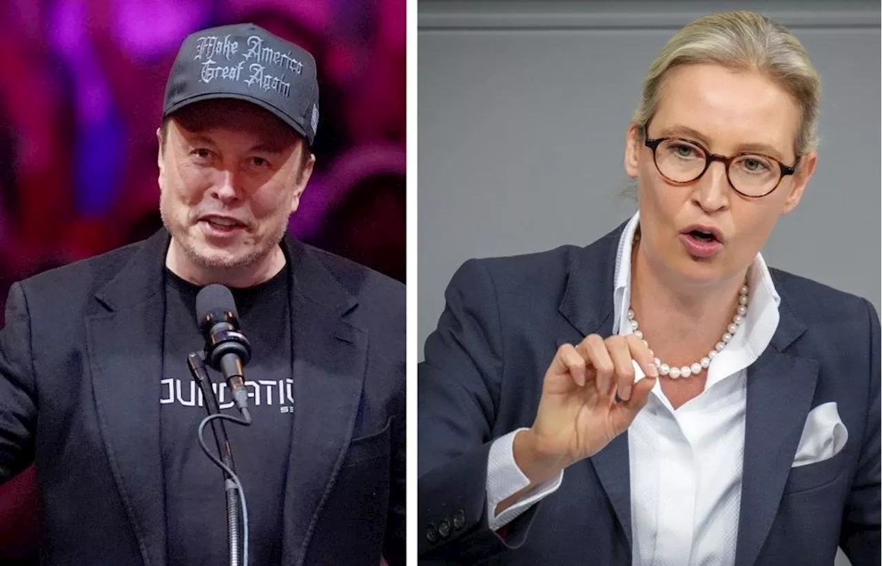 Elon Musk und Alice Weidel treffen sich auf X