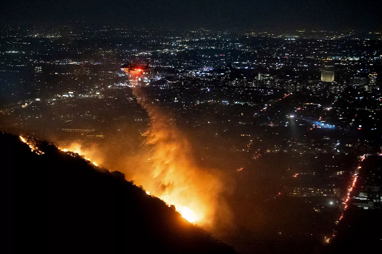 Großbrände in Los Angeles: Einsatzkräfte kämpfen um Hollywood Hills