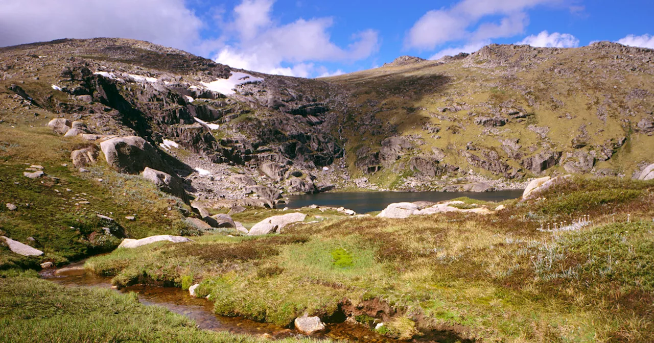 Missing Australian hiker found after surviving two weeks on muesli bars and berries