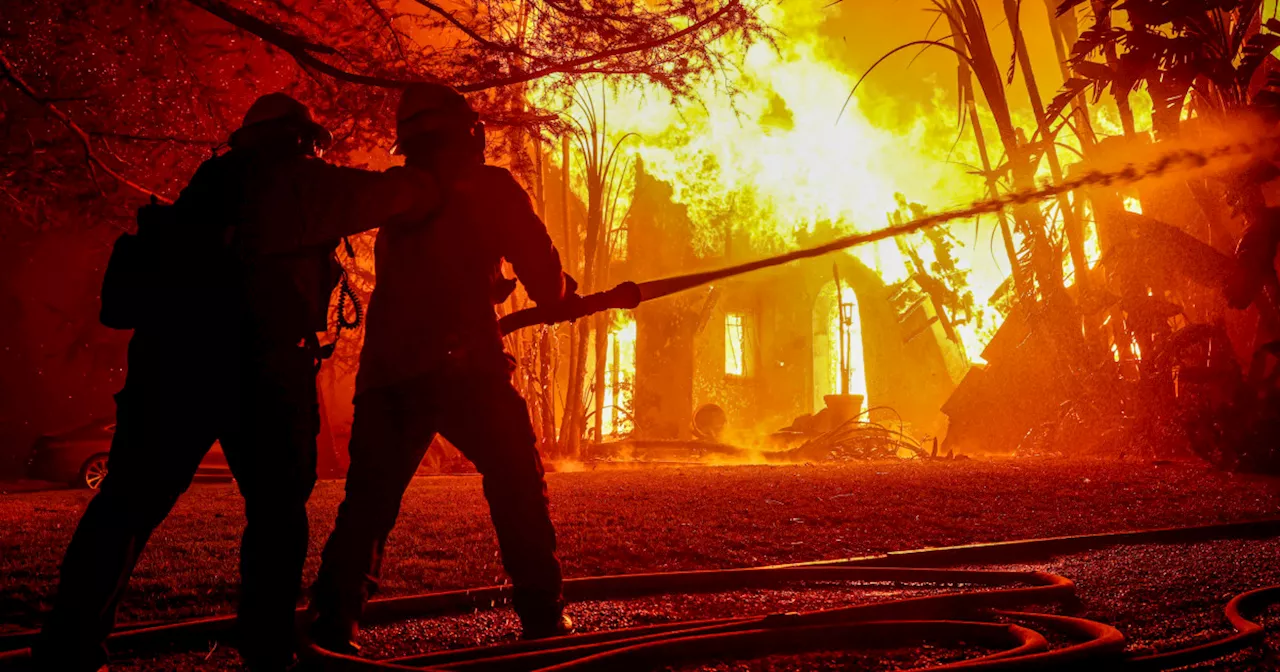 Wildfires Rage Across Los Angeles, Displacing Residents and Animals