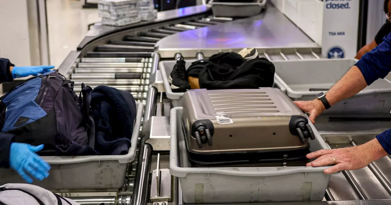 TSA's Wildest Airport Carry-On Finds of 2024