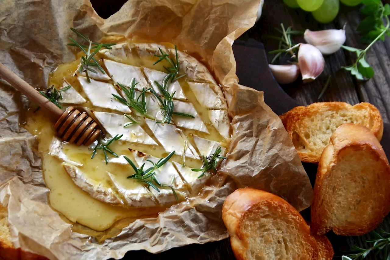 Camembert Cheese Compound Boosts Brain Function and Memory