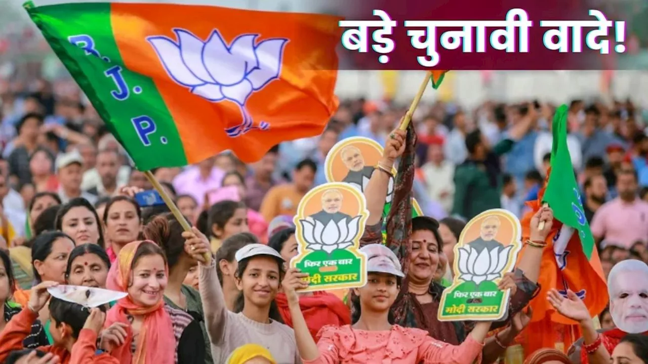 Delhi Election 2025: बड़ी तैयारी में BJP, 300 यूनिट फ्री बिजली से लेकर किन वादों का कर सकती है ऐलान, जानें