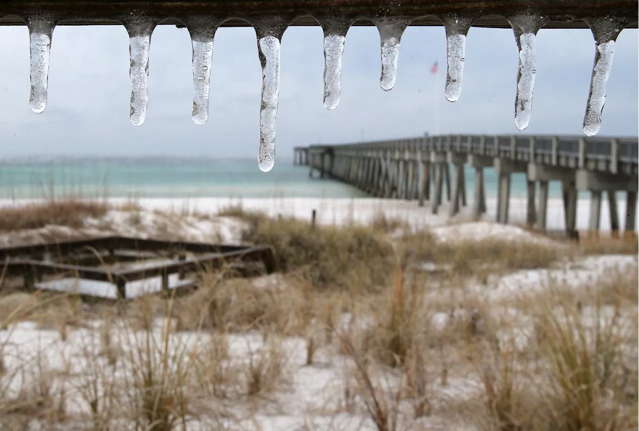 Urgent Freeze Warnings Issued for Florida as Polar Vortex Brings Record Cold