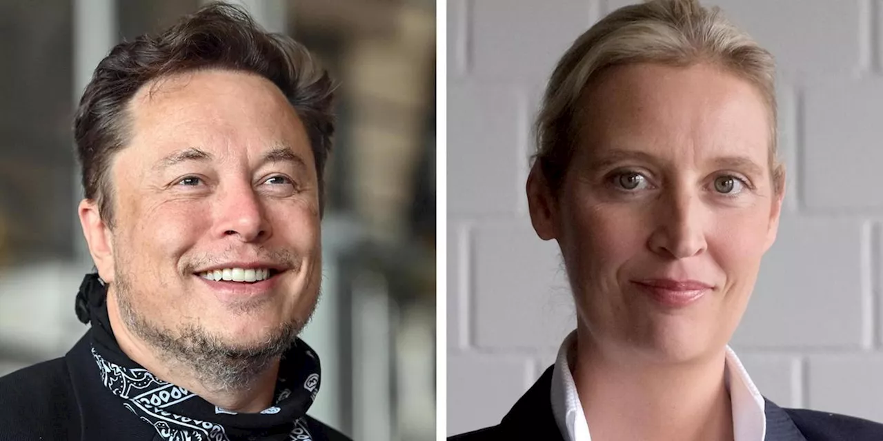 &bdquo;Einzige Besch&uuml;tzer j&uuml;discher Menschen&ldquo;: AfD-Chefin Weidel emp&ouml;rt bei wirrem Talk mit Elon Musk