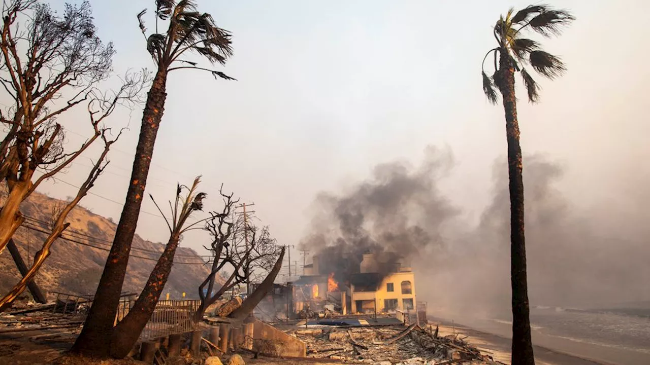 Catastrofale Branden in Los Angeles: Santa Ana-Winden Voeren Tot Onvoorspelbare Situatie