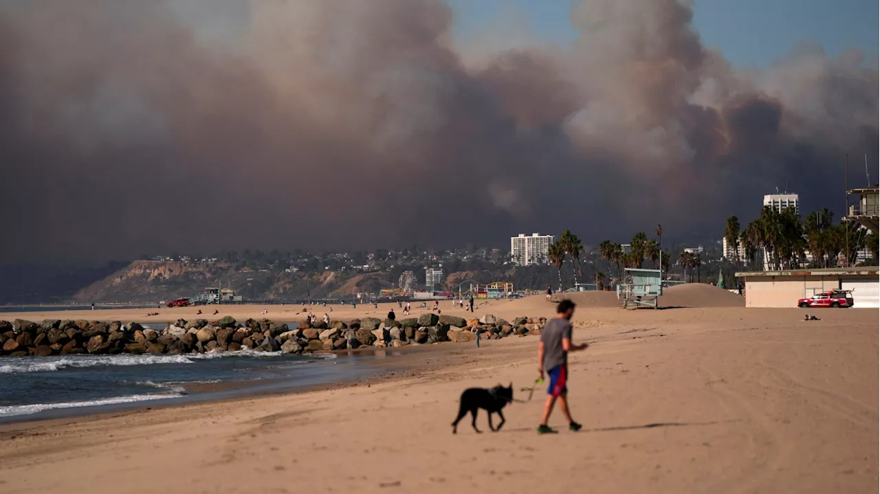 Wildfire Smoke: A Growing Health Threat Fueled by Climate Change