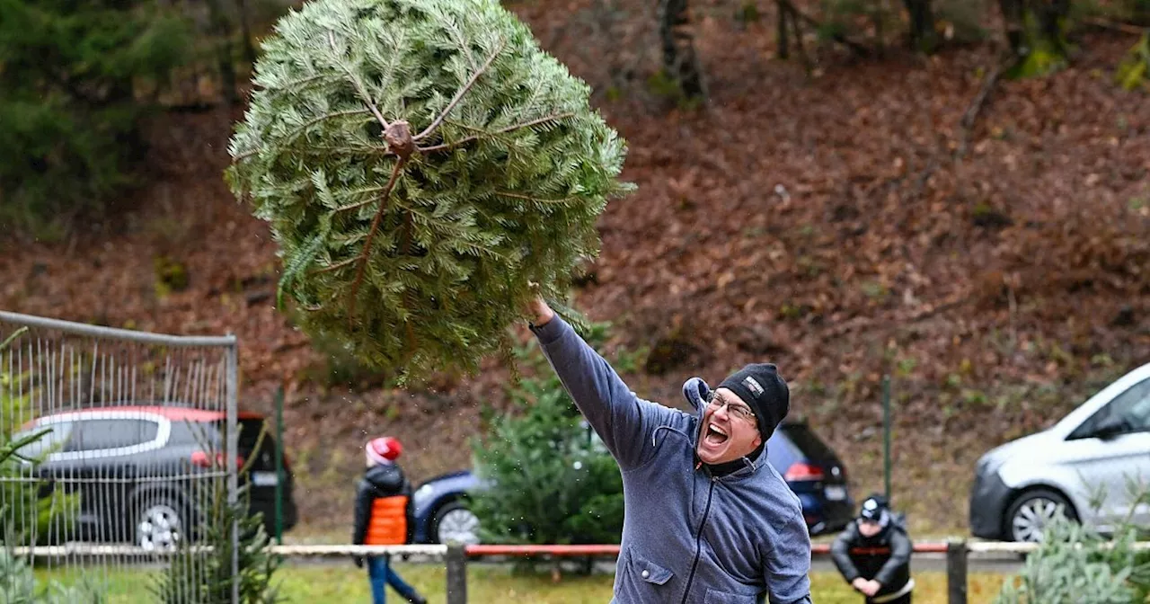 Tannenbaum-Weitwurf, Hochzeitsspecial und Stepptanz: Das ist am Wochenende in OWL los