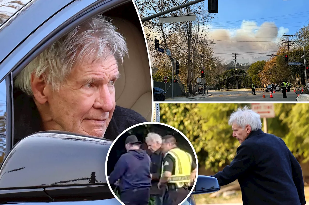 Harrison Ford Speaks With Police Amidst Devastating Malibu Wildfires