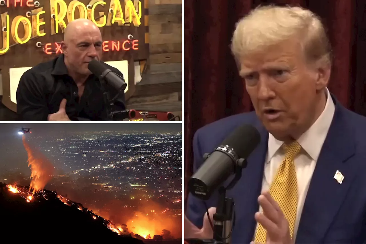 Trump Claims California Wildfire Crisis Stems from Water Mismanagement, Blasts Newsom