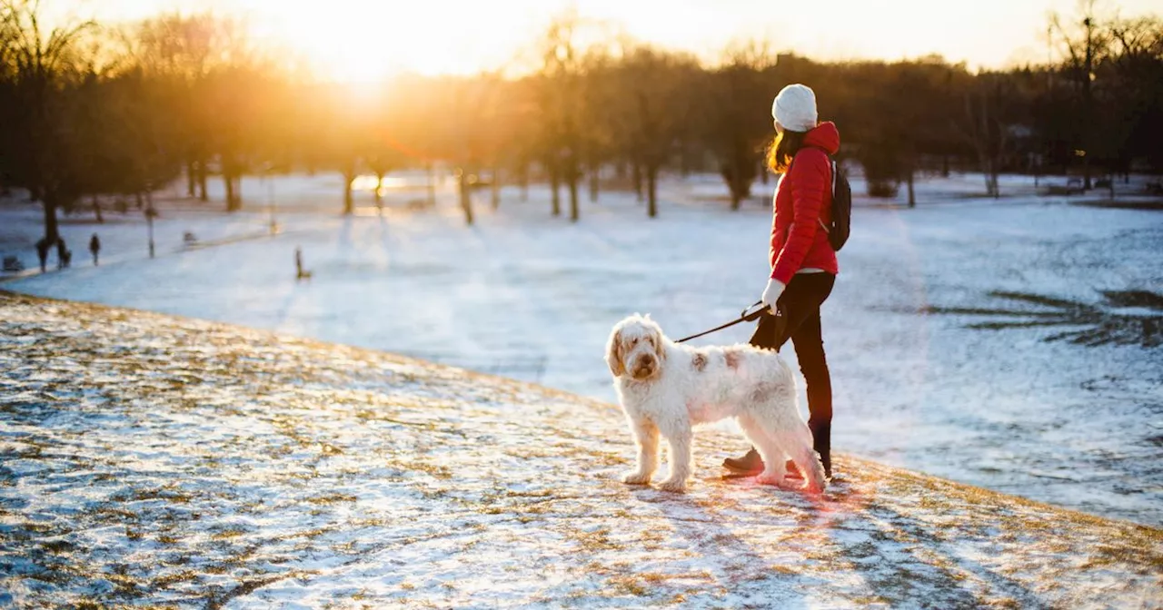 Walk with confidence on icy surfaces with these £16 non-slip shoe grips