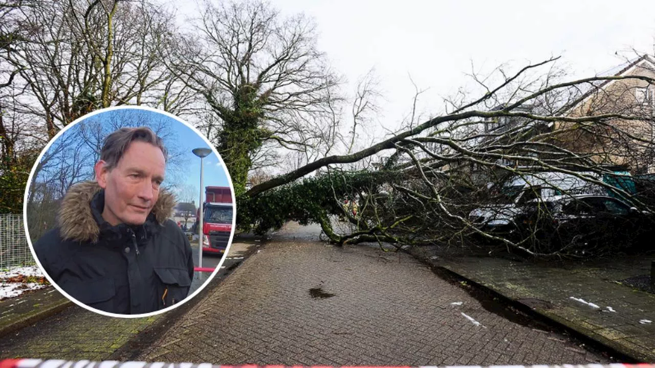 Boom valt op huis in Eindhoven, auto en busje beschadigd