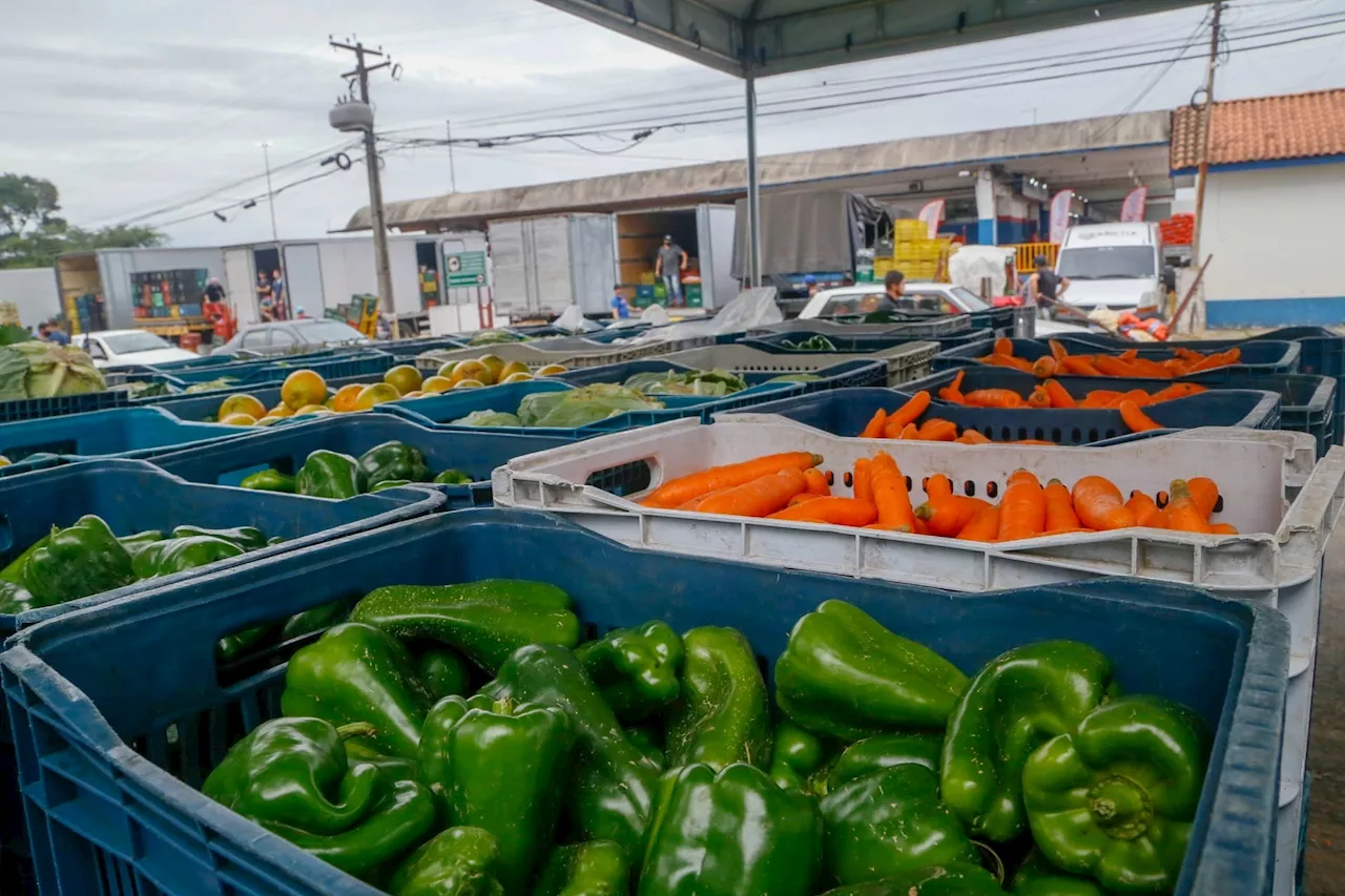 Mercado de Frutas e Vegetais no Brasil em Ascensão