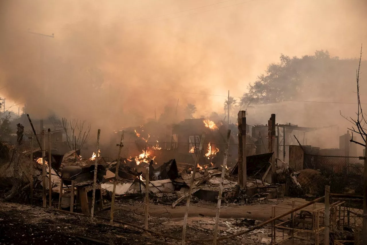 Devastating Wildfires Engulf Los Angeles