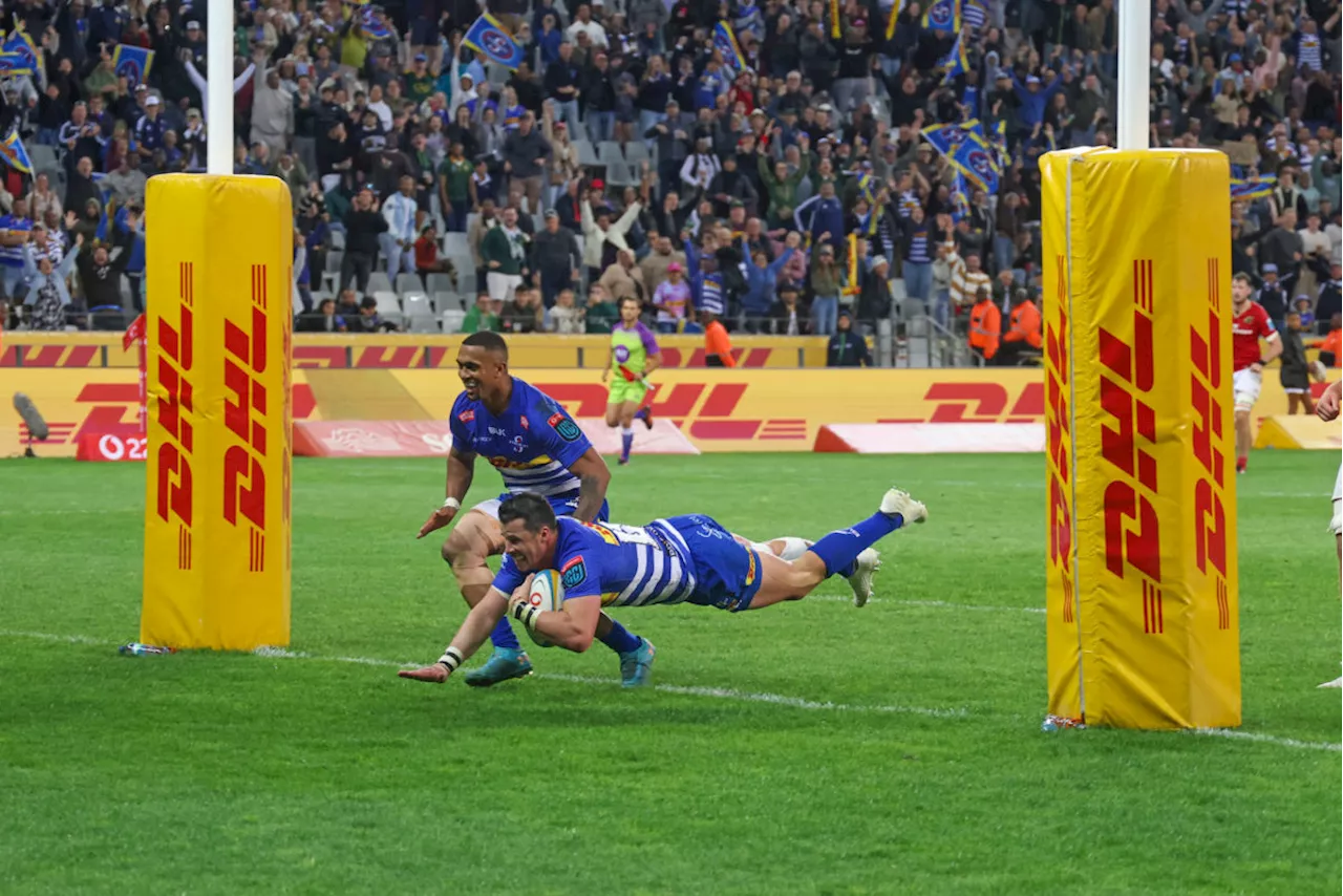 Stormers Aim to 'Fire Shots' Against Sale Sharks