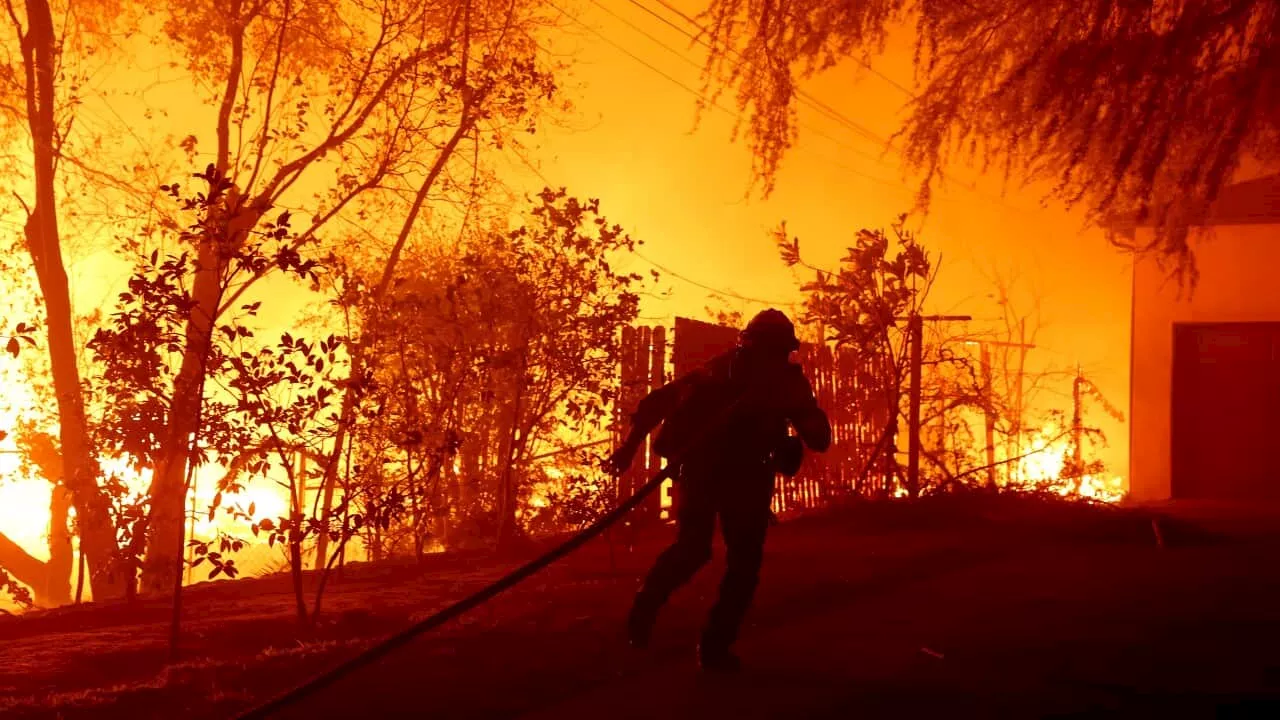 What caused the 'devastating' LA wildfires and how they've spread so rapidly