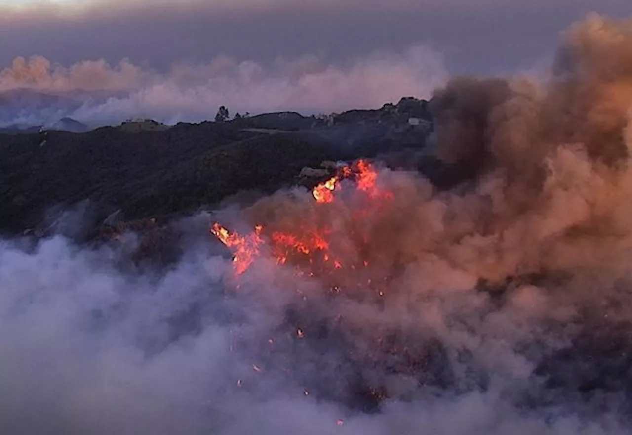 Ventos Santa Ana: Fenômeno que alimenta incêndios na Califórnia