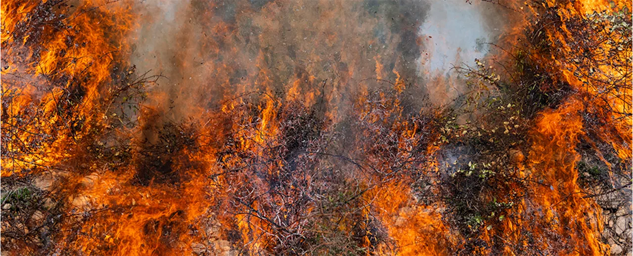 Wildfires Surged During Past Climate Shifts, Ancient Antarctic Ice Reveals