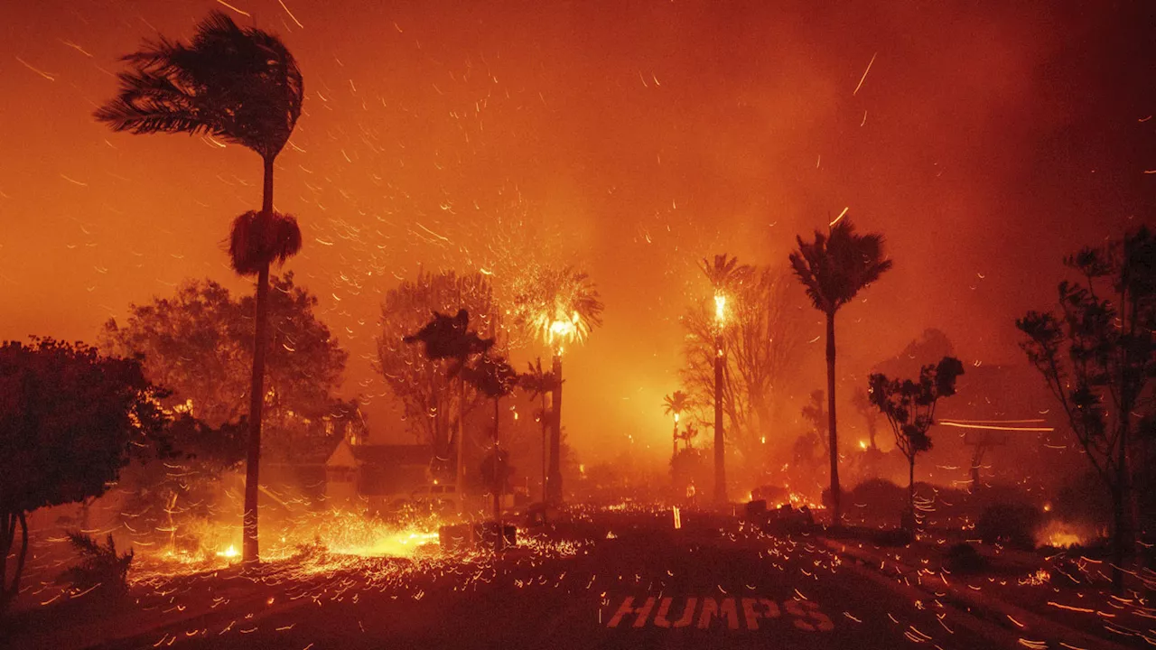 California Wildfires Rage in Unprecedented Winter Conditions