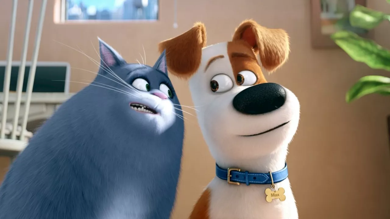 Esta es el guiño a una película de DC que no notaste en 'La vida secreta de tus mascotas 2' en Netflix