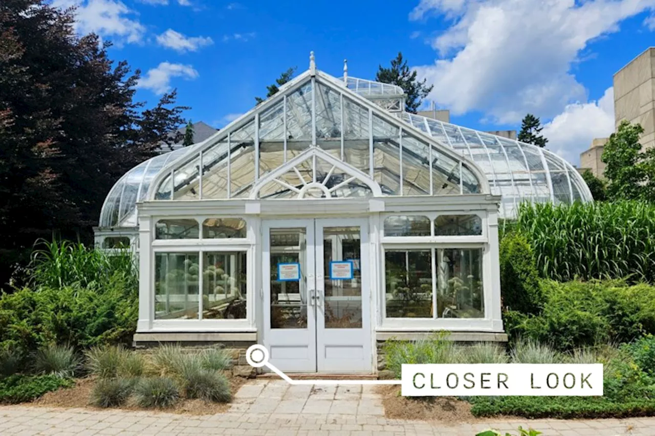 Closer Look: The Fight to Save a Century-Old Greenhouse