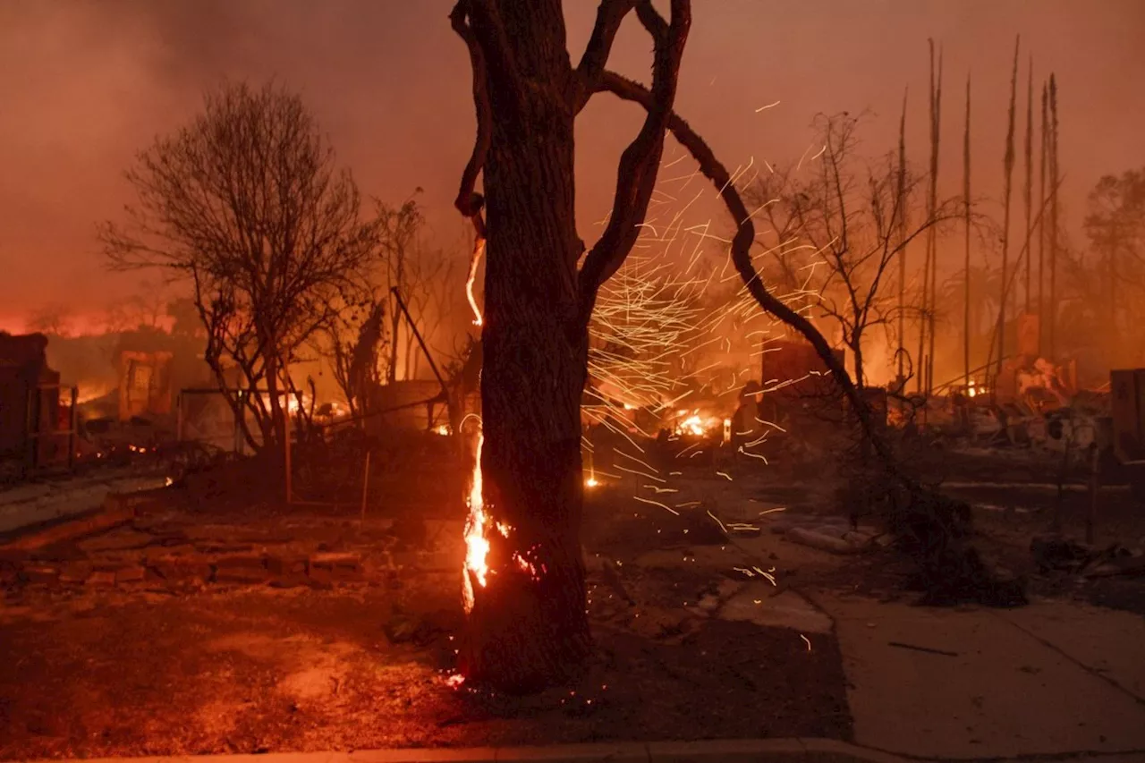 Fierce Winds Fuel Devastating Wildfires in Los Angeles