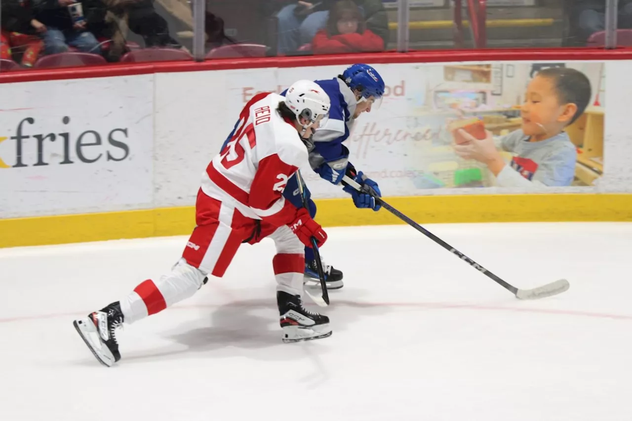 Soo Greyhounds Struggling After November Win Streak