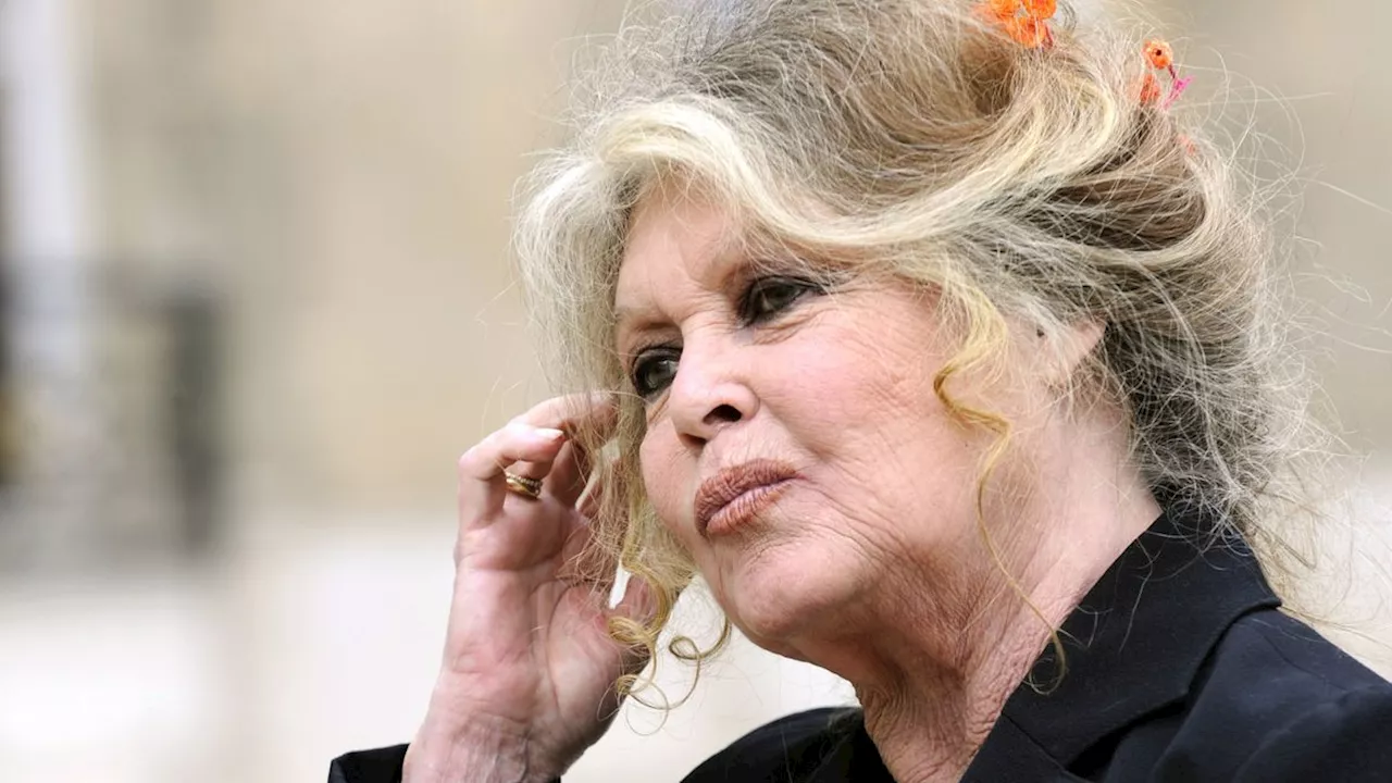 Brigitte Bardot unterstützt Igel-Rettungsstation