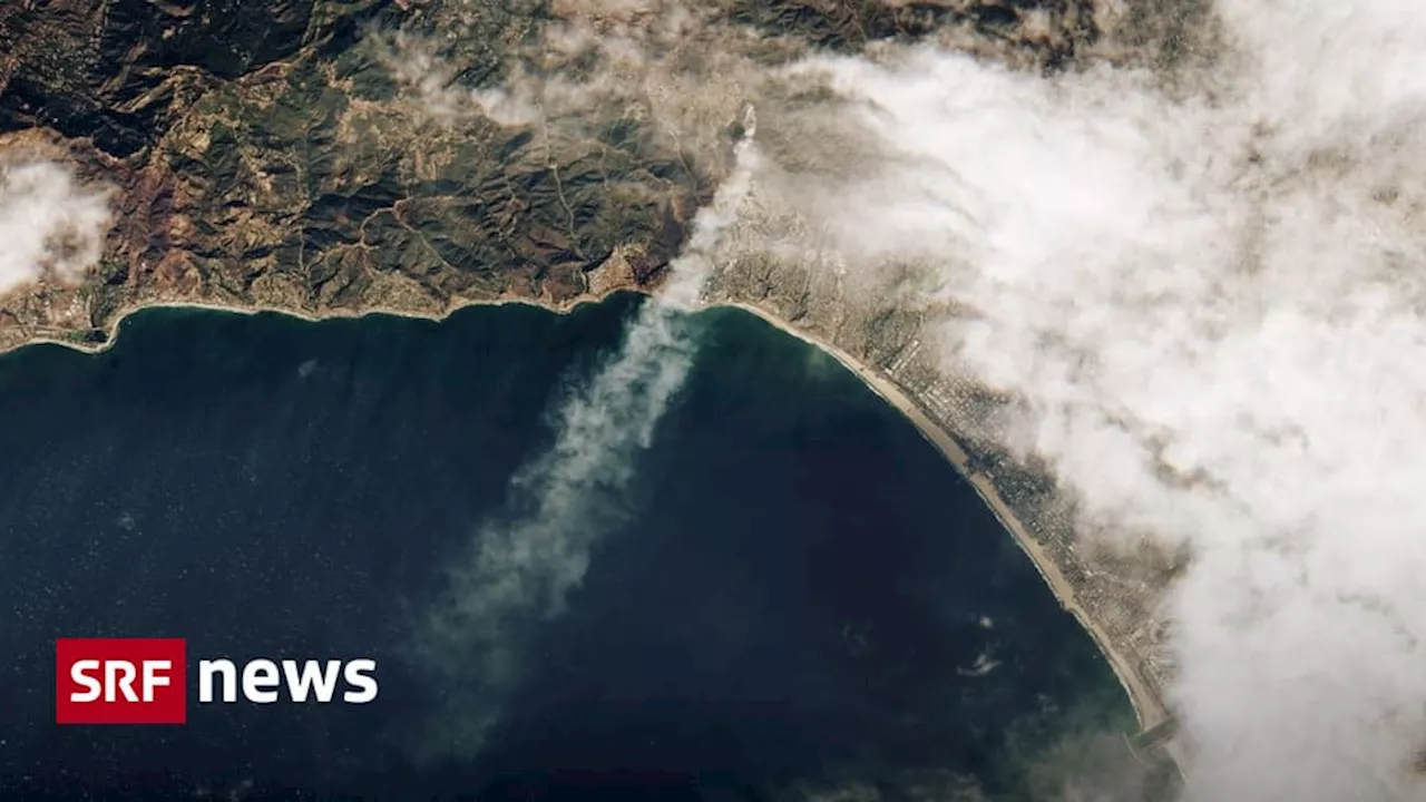 Waldbrände an der US-Westküste - Wind in Los Angeles lässt nach