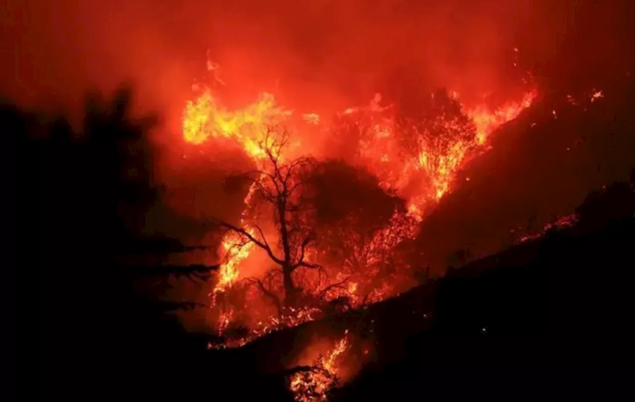 Wildfires Devastate Los Angeles, Forcing Celebrity Evacuations and Cancellations