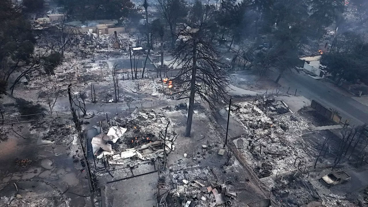 Feuerkatastrophe: Verheerende Brände in Los Angeles: Wind-Pause macht Hoffnung